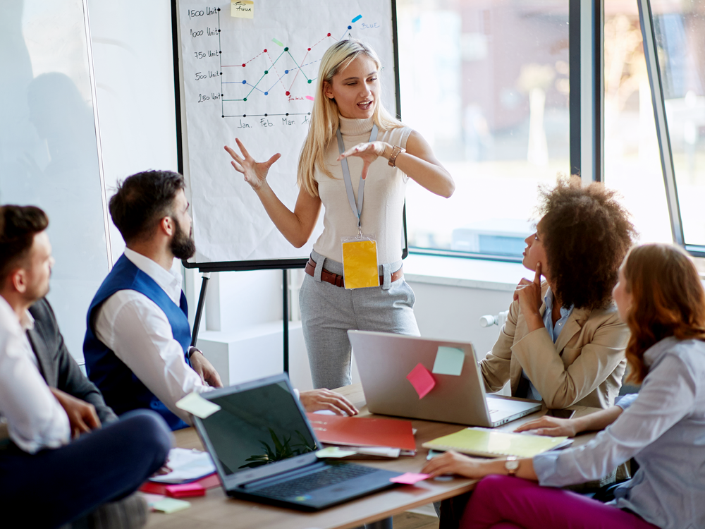 Human and Organizational Development program image